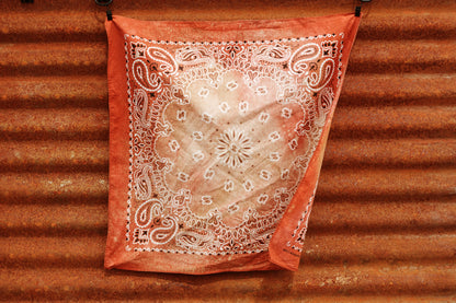 Bundle #1: The Gift Set